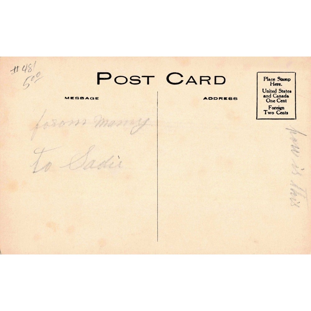 Vintage Rochester Photo Press Postcard Baby Just Like Father's Whiskers Sepia - Picture 2 of 2